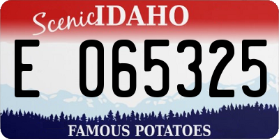 ID license plate E065325