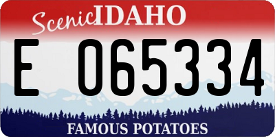 ID license plate E065334