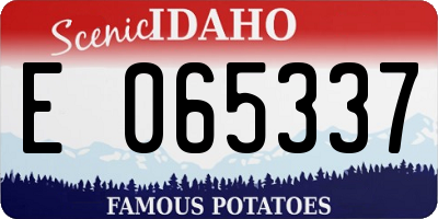 ID license plate E065337