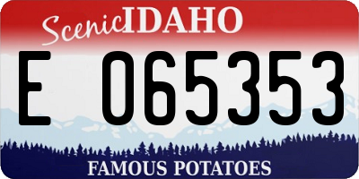 ID license plate E065353