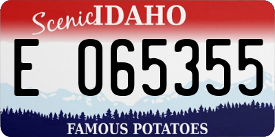 ID license plate E065355