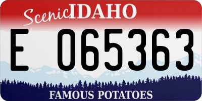 ID license plate E065363