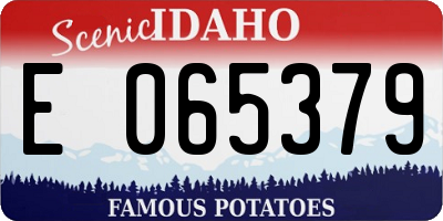 ID license plate E065379