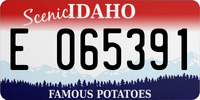 ID license plate E065391