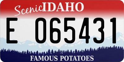 ID license plate E065431