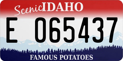 ID license plate E065437