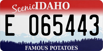 ID license plate E065443
