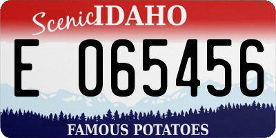 ID license plate E065456