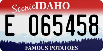 ID license plate E065458