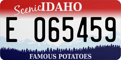 ID license plate E065459