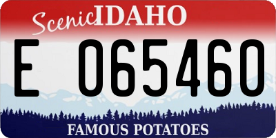 ID license plate E065460