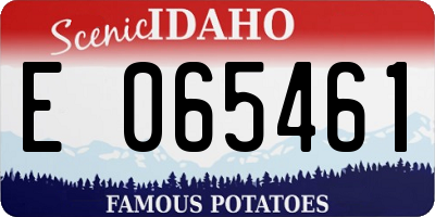 ID license plate E065461