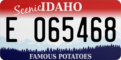 ID license plate E065468