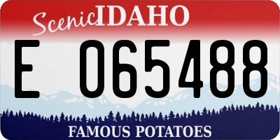 ID license plate E065488