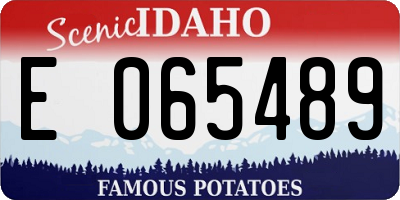 ID license plate E065489