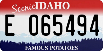 ID license plate E065494