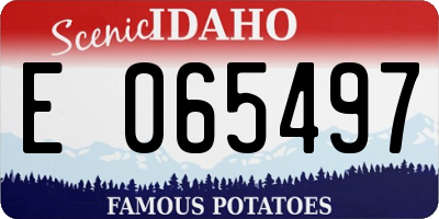 ID license plate E065497