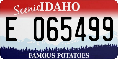 ID license plate E065499