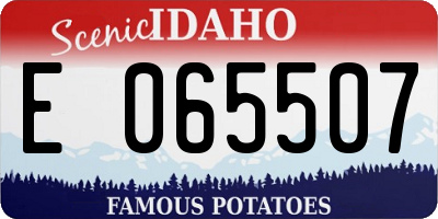 ID license plate E065507