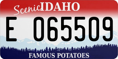 ID license plate E065509