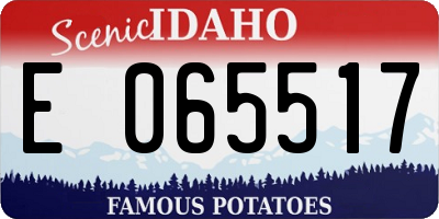 ID license plate E065517