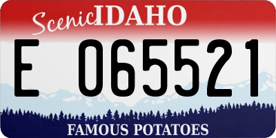 ID license plate E065521