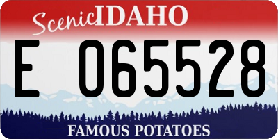ID license plate E065528