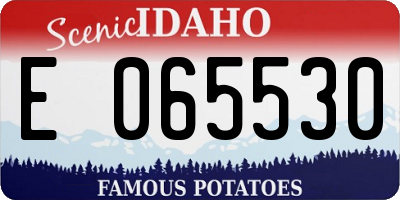 ID license plate E065530