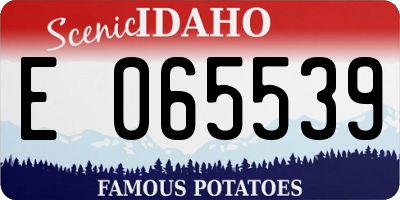 ID license plate E065539
