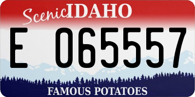 ID license plate E065557
