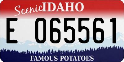 ID license plate E065561
