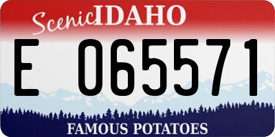 ID license plate E065571