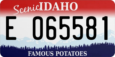 ID license plate E065581