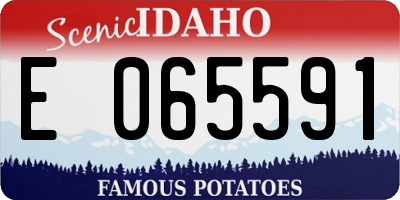 ID license plate E065591
