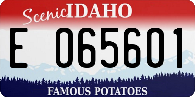 ID license plate E065601