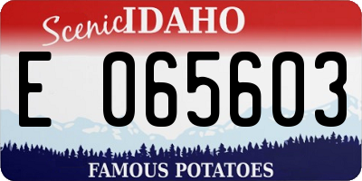 ID license plate E065603