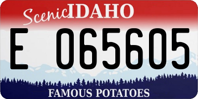 ID license plate E065605