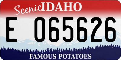 ID license plate E065626