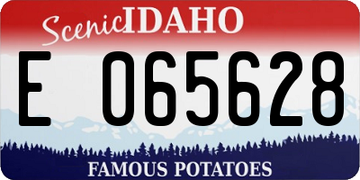 ID license plate E065628