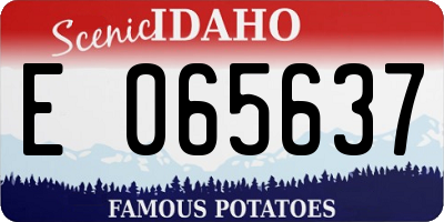 ID license plate E065637