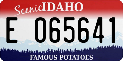 ID license plate E065641
