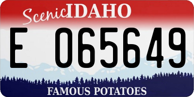 ID license plate E065649