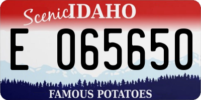 ID license plate E065650