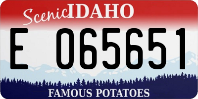 ID license plate E065651