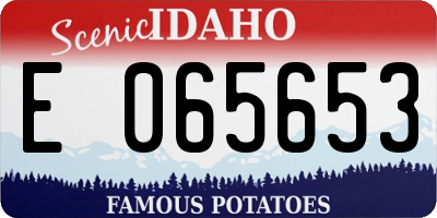 ID license plate E065653