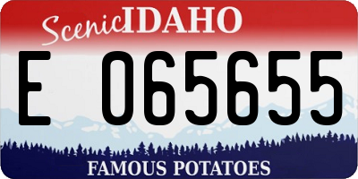 ID license plate E065655
