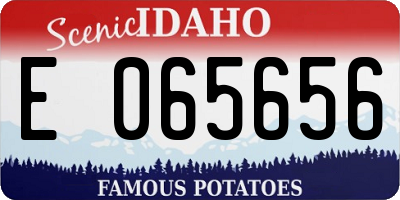 ID license plate E065656