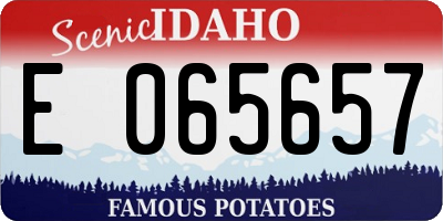 ID license plate E065657