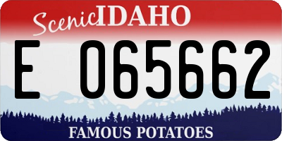 ID license plate E065662