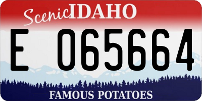 ID license plate E065664